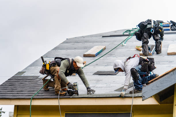 Professional Storm Damage Roof Repair technician working in Elk Mountain, WY